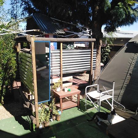 Xenia Bed & Breakfast Windhoek Dış mekan fotoğraf