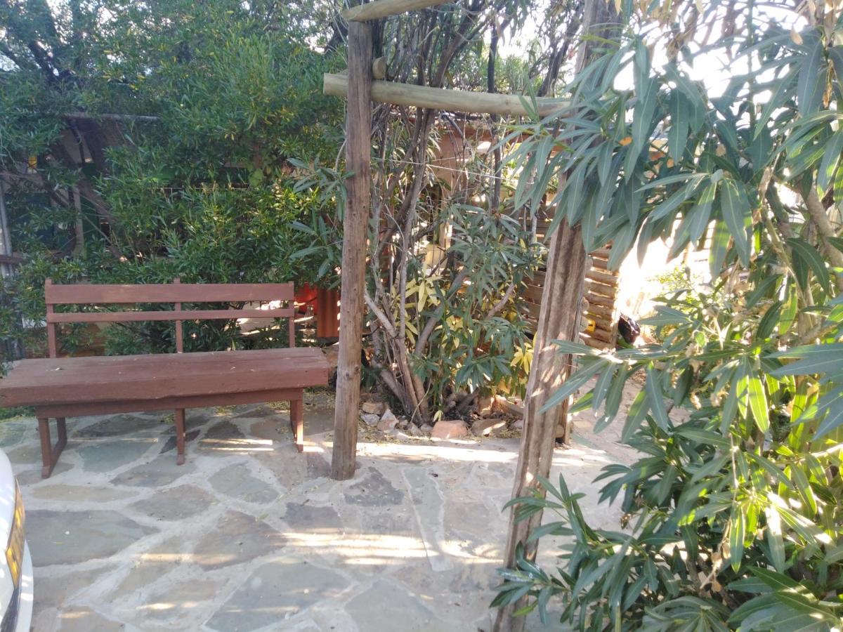 Xenia Bed & Breakfast Windhoek Dış mekan fotoğraf
