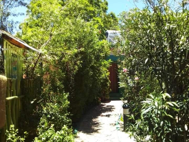 Xenia Bed & Breakfast Windhoek Dış mekan fotoğraf